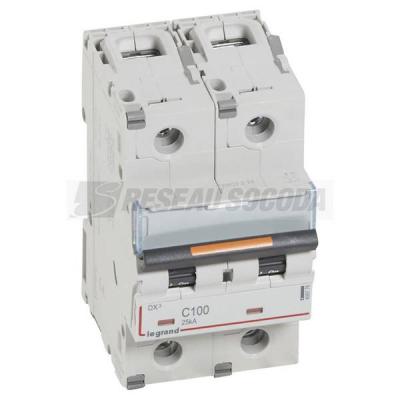  DX3 2P C100 25KA 