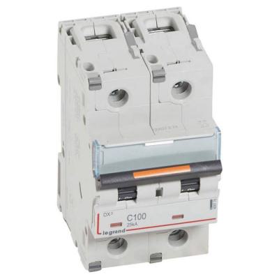  DX3 2P C100 25KA 