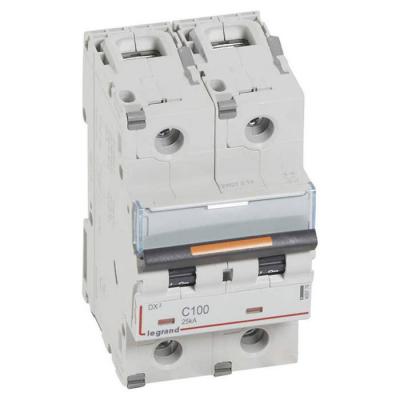  DX3 2P C100 25KA 