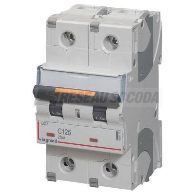  DX3 2P C125 25KA 