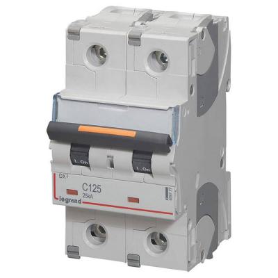  DX3 2P C125 25KA 