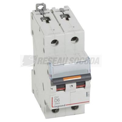  DX3 2P D6 25KA 