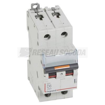  DX3 2P D6 25KA 