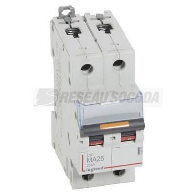  DX3 2P MA25 25KA 