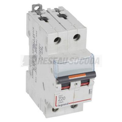  DX3 2P Z20 25KA 
