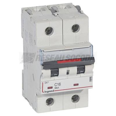  DX3 2P C16 36KA 
