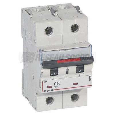  DX3 2P C16 36KA 