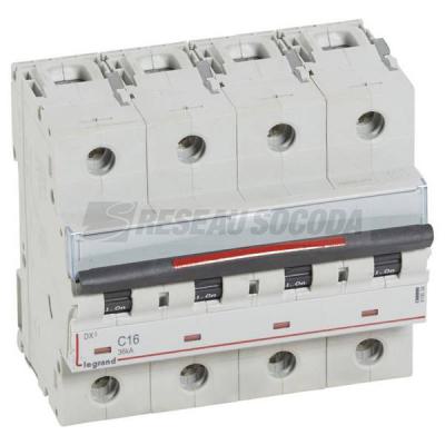 DX3 4P C16 36KA 