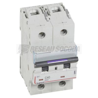  DX3 2P C40 50KA 