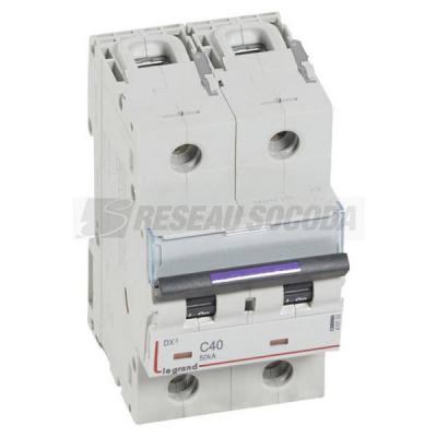  DX3 2P C40 50KA 