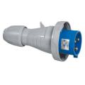  FICHE 32A 2P+T 230V IP67 
