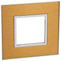  PLATE 2 SQ MOD F-G GOLD BRASS 