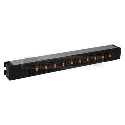  PDU 19P 10 C13 