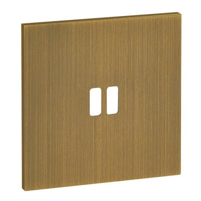  PLAQU 1P POUR USB EPURE BRONZE 