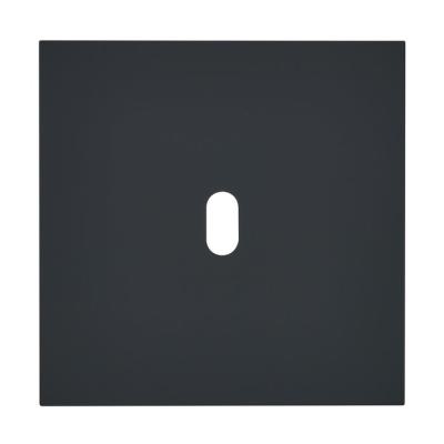  PLQ 1P 1 LEVIER EPURE NOIR MAT 