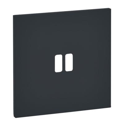  PLAQUE 1P USB EPURE NOIR MAT 
