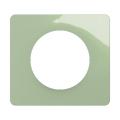  PLAQUE 1 POSTE VERT CELADON 