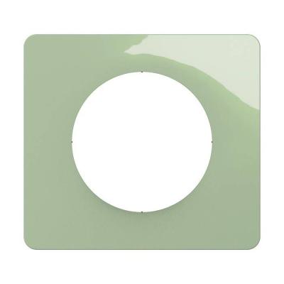  PLAQUE 1 POSTE VERT CELADON 