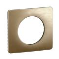  PLAQUE 1 POSTE BRONZE SATINE 