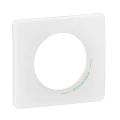  PLAQUE 1P Antimicrobien 