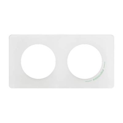  PLAQUE 2P Antimicrobien 