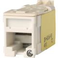  RJ45 HDJ CAT6 UTP BLANCS 