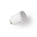  PACK 1 TETE THERMO ORIG PRO LG 