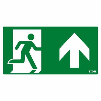  Pictogramme ISO7010-E002 M DS 