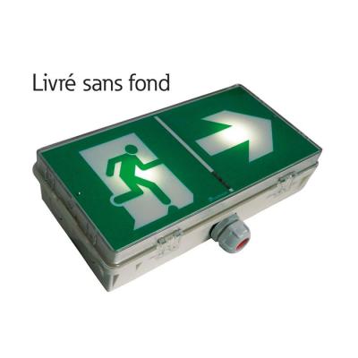  BAES d'�vacuation UltraLed 45 