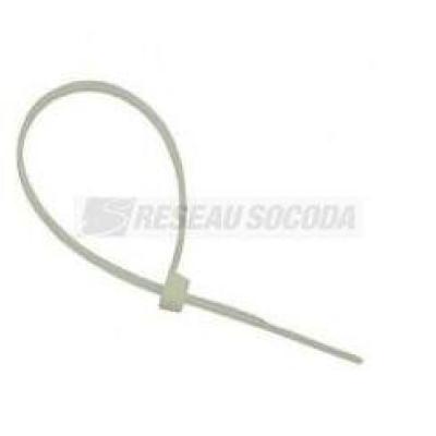  COLLIER BLC 100x2,5 PA6-6 
