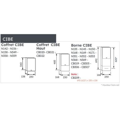  BORNE CIBE MONO A4D2 ECLAIR 