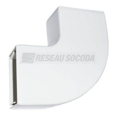  PIED DE GOULOTTE API 40x60 