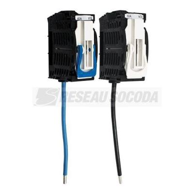  CCPI UNIPOLAIRE T00 NEUTRE 60A 