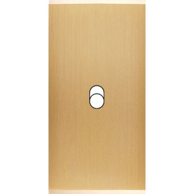  FAC ETROITE LAITON LAIT-B B1 