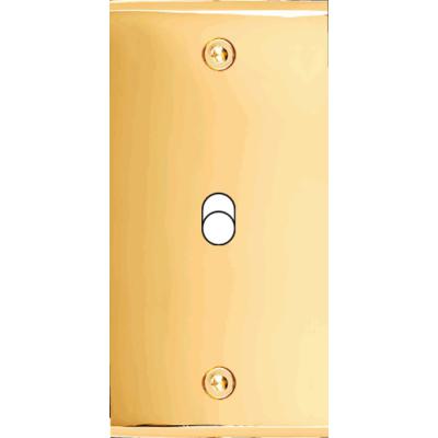  FAC ETROITE LAITON DORE B1 VIS 