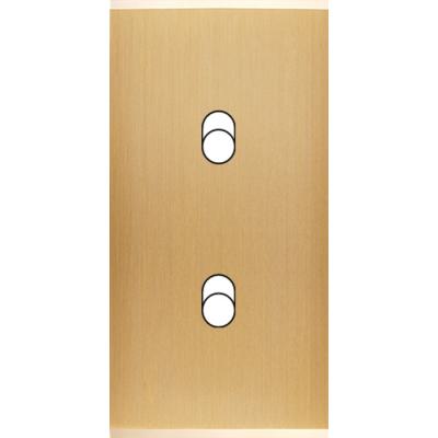  FAC ETROITE LAITON LAIT-B B2 