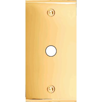  FAC ETROITE LAITON DORE P1 VIS 