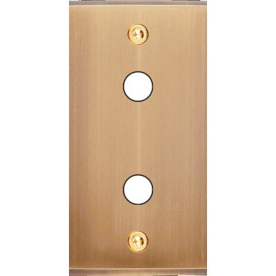  FAC ETROIT LAITON BRONZ P2 VIS 