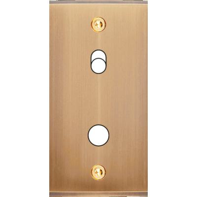  FAC ETR LAITON BRONZ B1P1 VIS 