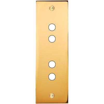  FAC LAITON DORE EL P4 A VIS 