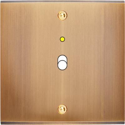  FAC LAITON BRONZE S B1L VIS 