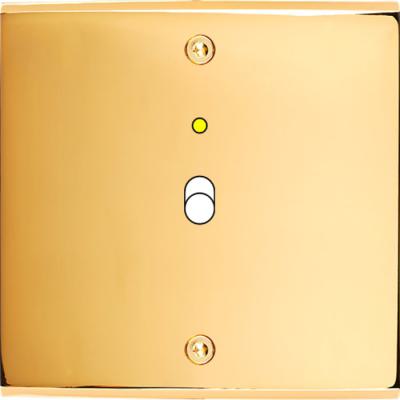 FAC LAITON DORE S B1L VIS 