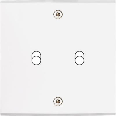  FAC LAITON BLANC S B2 A VIS 