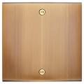  FAC LAITON BRONZE S B2L VIS 