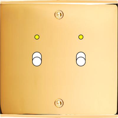 FAC LAITON DORE S B2L VIS 