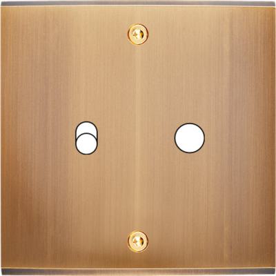  FAC LAITON BRONZE S B1 P1 VIS 
