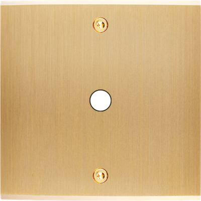  FAC LAITON LAIT-B S P1 A VIS 