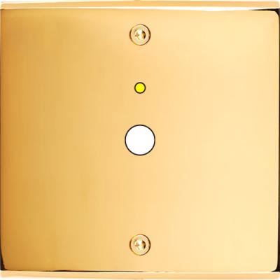  FAC LAITON DORE S P1L VIS 