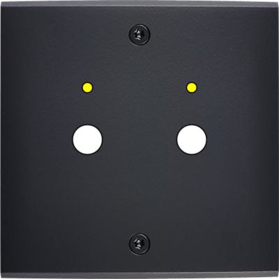  FAC LAITON NOIR S P2L VIS 