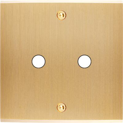  FAC LAITON LAIT-B S P2 A VIS 